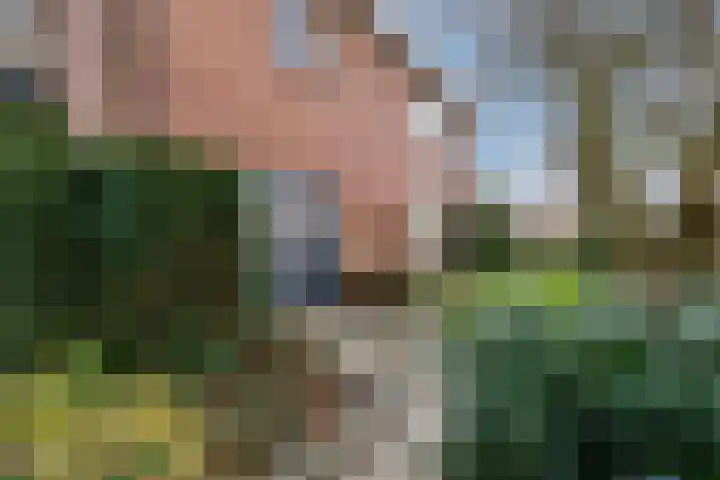 Waterloo 1 Valthe thumbnail 9