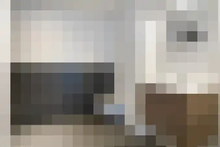 Waterloolaan 1 13 Groningen thumbnail 12