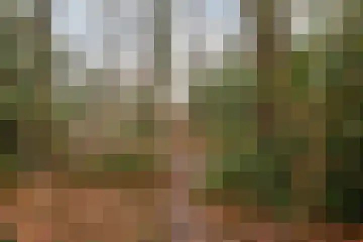 Waterloolaan 1 13 Groningen thumbnail 30