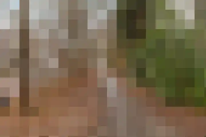 Waterloolaan 1 13 Groningen thumbnail 31