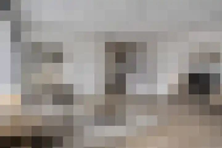 Waterloolaan 1 13 Groningen thumbnail 4