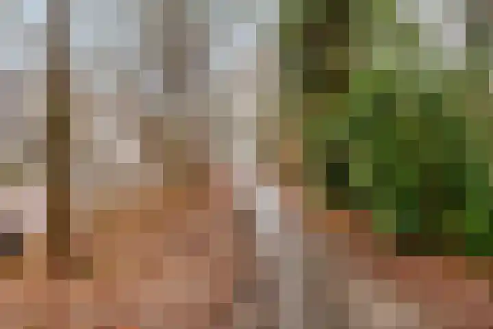 Waterloolaan 1 51 Groningen thumbnail 34