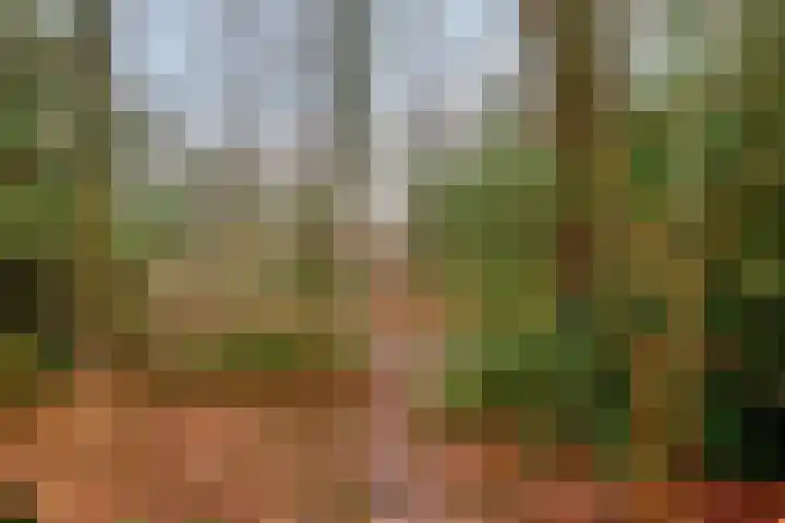Waterloolaan 1 51 Groningen thumbnail 35