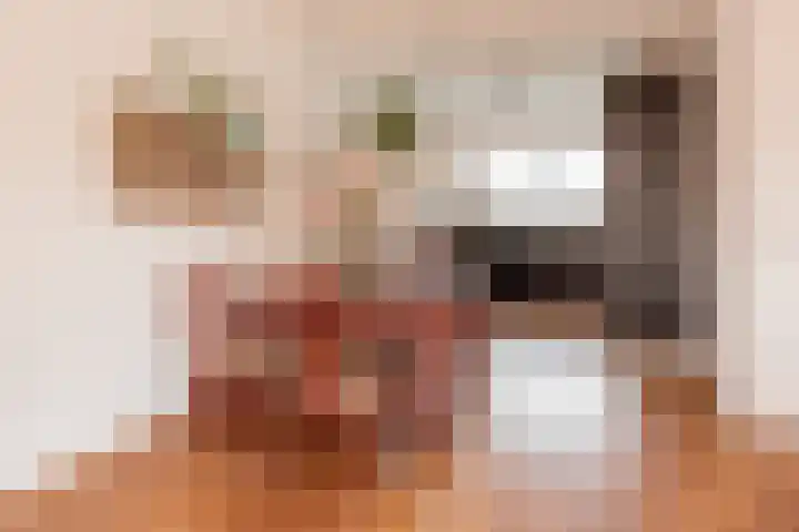 Waterloop 1 Wierden thumbnail 11