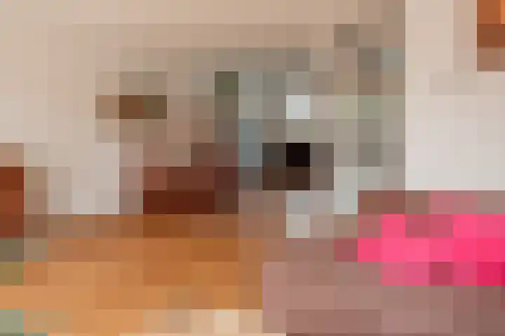 Waterloop 1 Wierden thumbnail 19