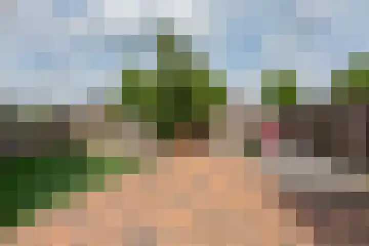 Waterloop 1 Wierden foto 2