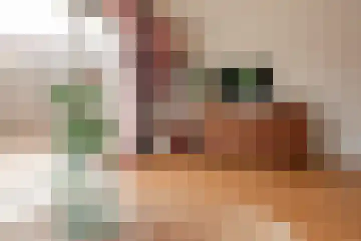 Waterloop 1 Wierden thumbnail 20