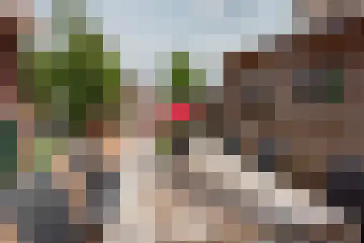 Waterloop 1 Wierden thumbnail 28