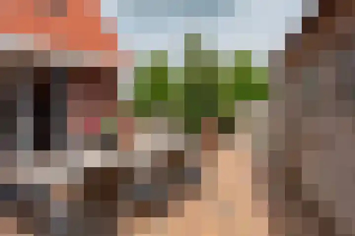 Waterloop 1 Wierden thumbnail 30