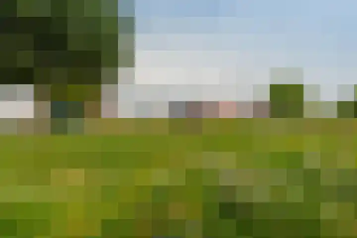 Waterloop 1 Wierden thumbnail 36