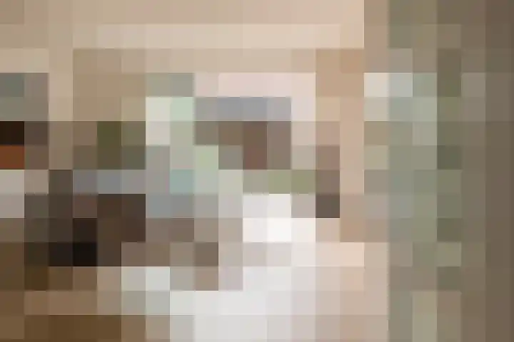 Waterloop 11 Wierden thumbnail 10