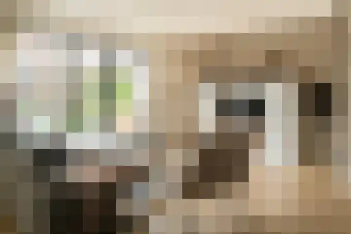 Waterloop 11 Wierden thumbnail 11