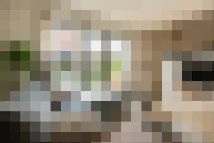 Waterloop 11 Wierden thumbnail 22