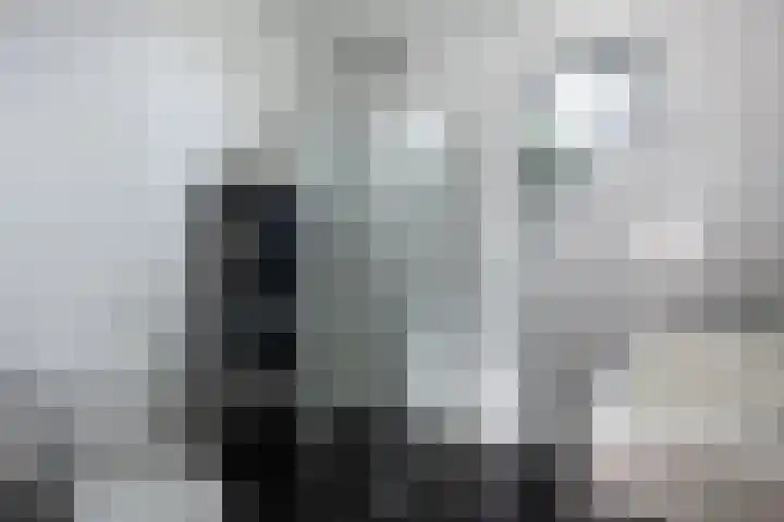 Waterloop 11 Wierden thumbnail 30