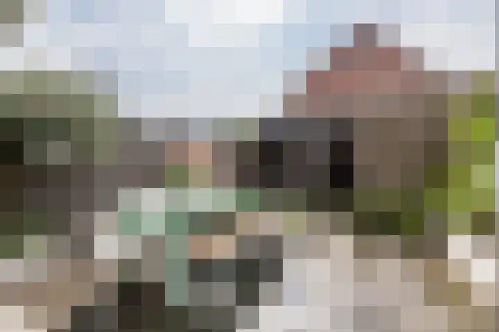 Waterloop 11 Wierden thumbnail 39