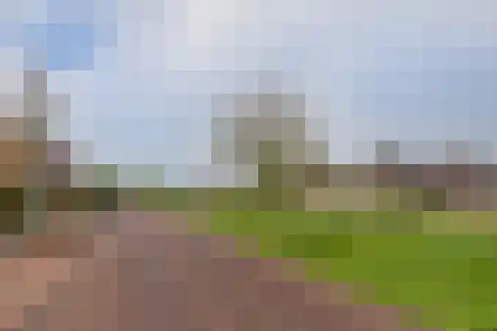 Waterloop 11 Wierden thumbnail 6