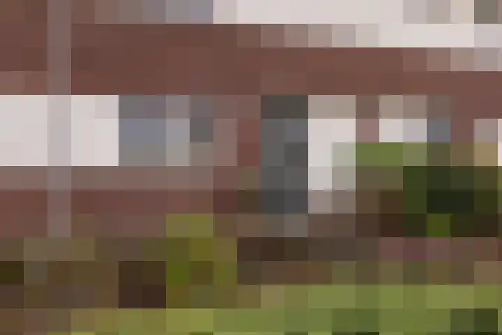 Waterloop 11 Wierden thumbnail 8