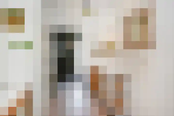 Waterloop 40 Delft thumbnail 11