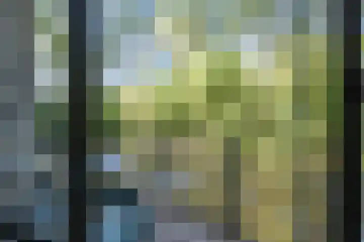 Waterloop 40 Delft thumbnail 15