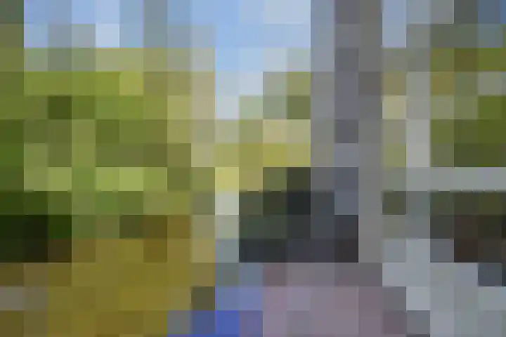 Waterloop 40 Delft thumbnail 16