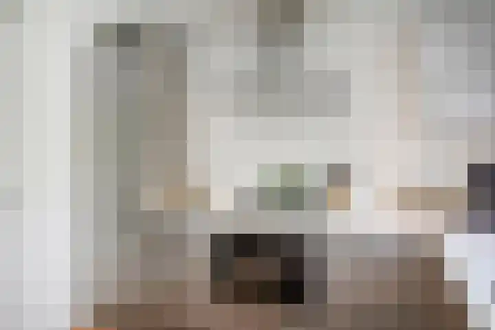 Waterloop 40 Delft thumbnail 32