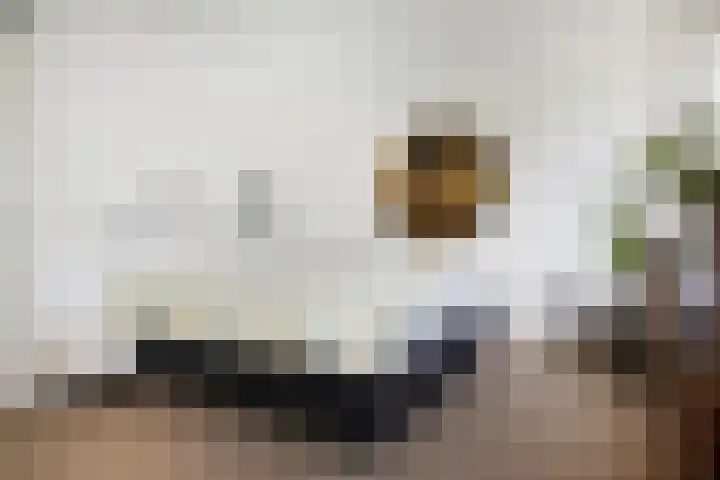 Waterloop 40 Delft thumbnail 37