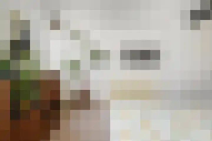 Waterloop 40 Delft thumbnail 38