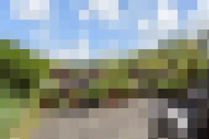 Waterloop 40 Delft thumbnail 52