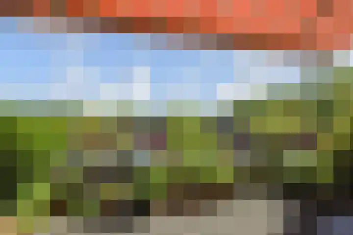 Waterloop 40 Delft thumbnail 53