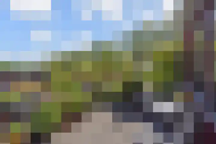 Waterloop 40 Delft thumbnail 54