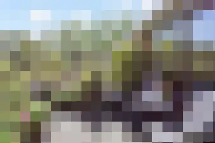 Waterloop 40 Delft thumbnail 55