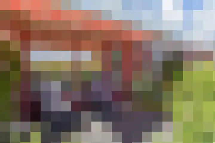 Waterloop 40 Delft thumbnail 59