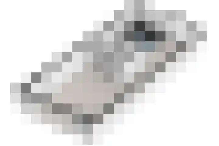 Waterloop 40 Delft thumbnail 69