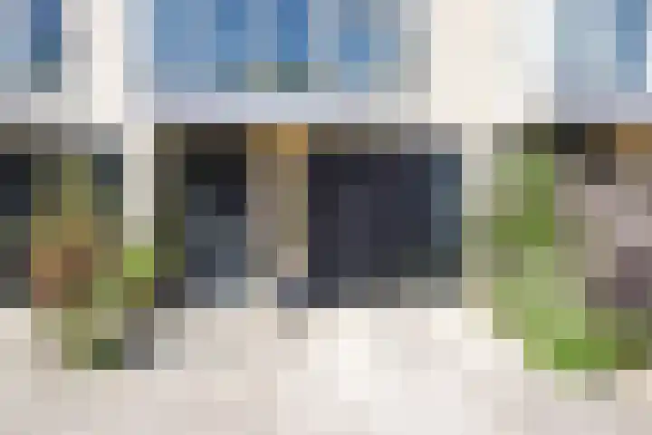 Waterloop 40 Delft thumbnail 7