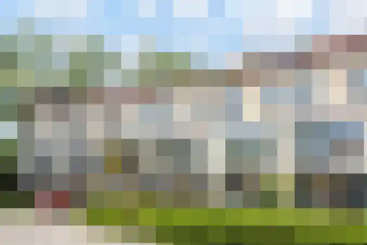 Waterloop 40 Delft thumbnail 73