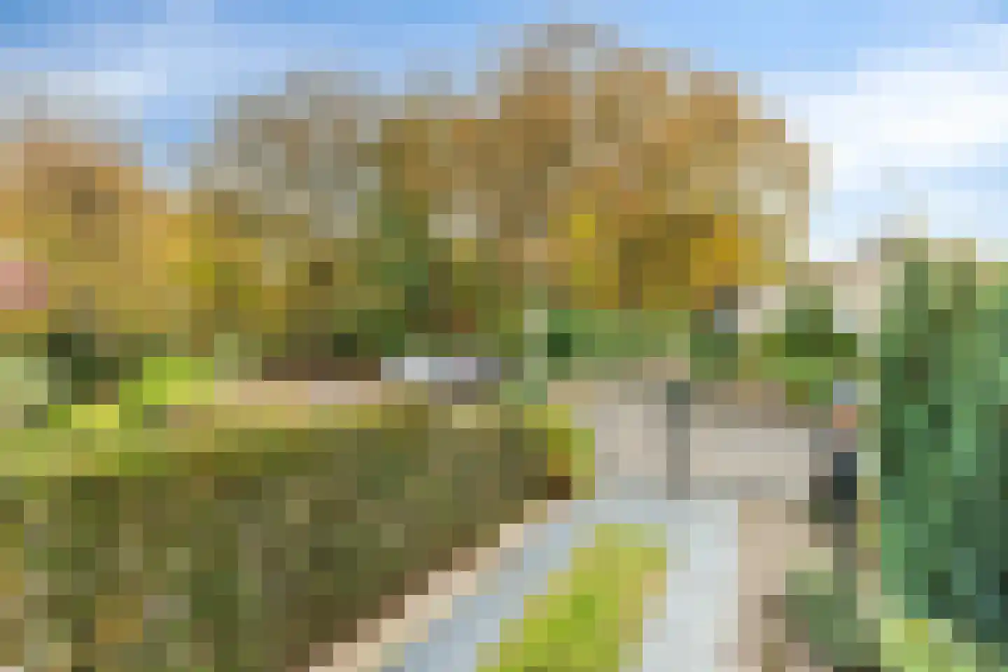 Waterlooweg 13 Austerlitz thumbnail 55