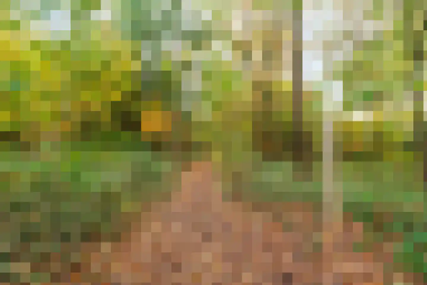 Waterlooweg 13 Austerlitz thumbnail 58