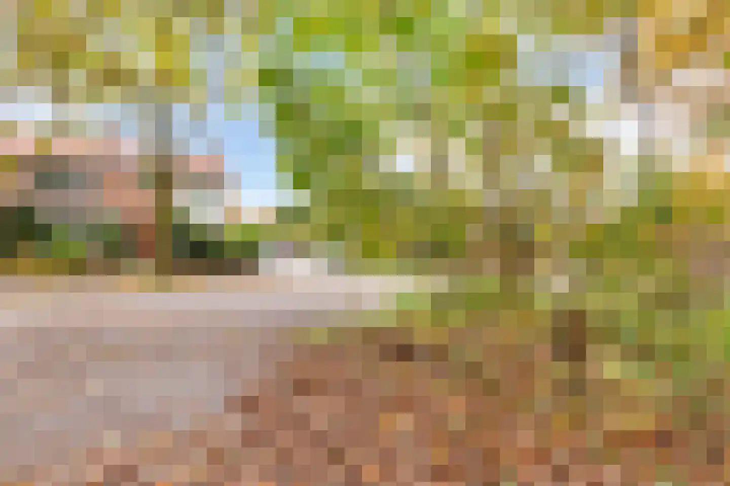 Waterlooweg 13 Austerlitz thumbnail 59
