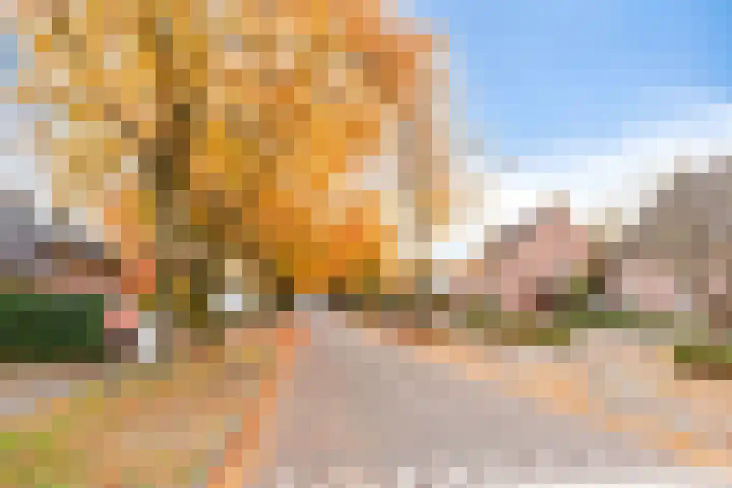 Waterlooweg 13 Austerlitz thumbnail 60