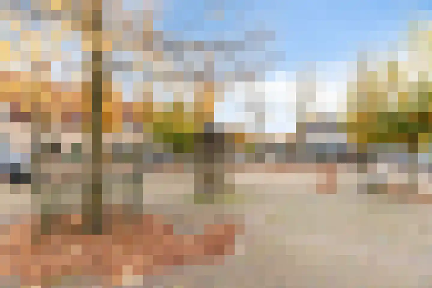 Waterlooweg 13 Austerlitz thumbnail 63