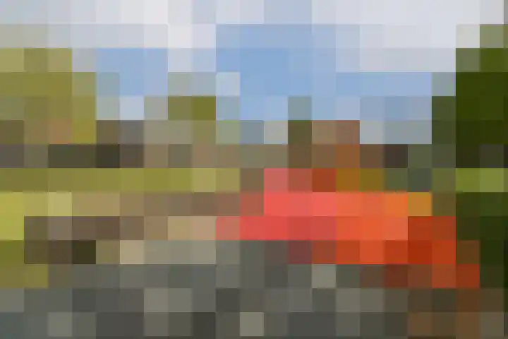 Watermaalpad 36 Amsterdam thumbnail 24