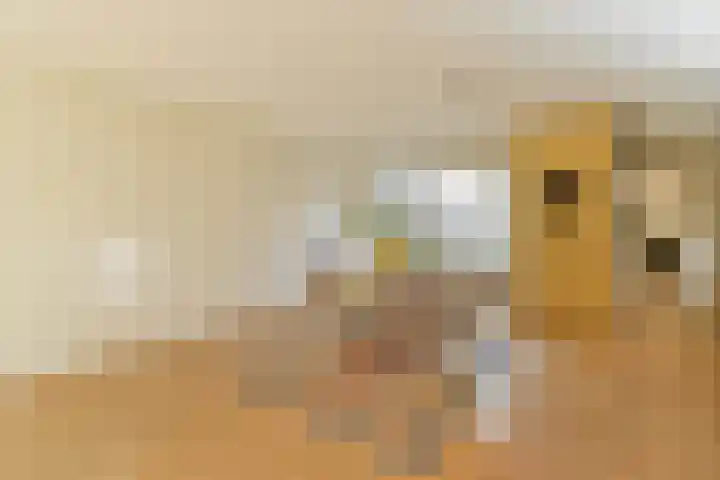 Watermaalpad 36 Amsterdam thumbnail 6