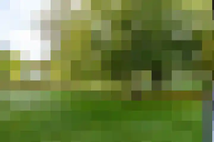 Watermanstraat 22 Groningen thumbnail 17