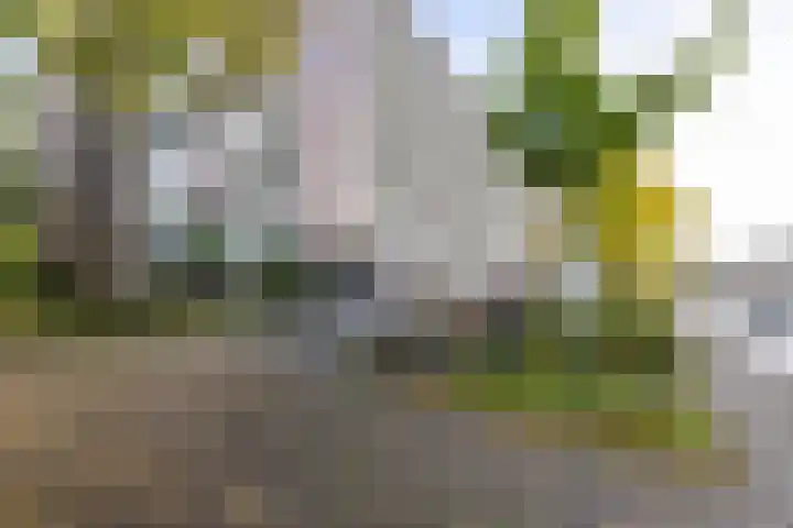 Watermanstraat 22 Groningen thumbnail 31