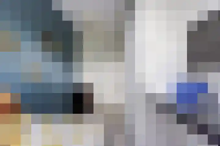 Watermolen 13 De Lier thumbnail 16