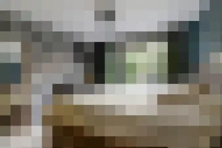 Watermolen 13 De Lier thumbnail 17