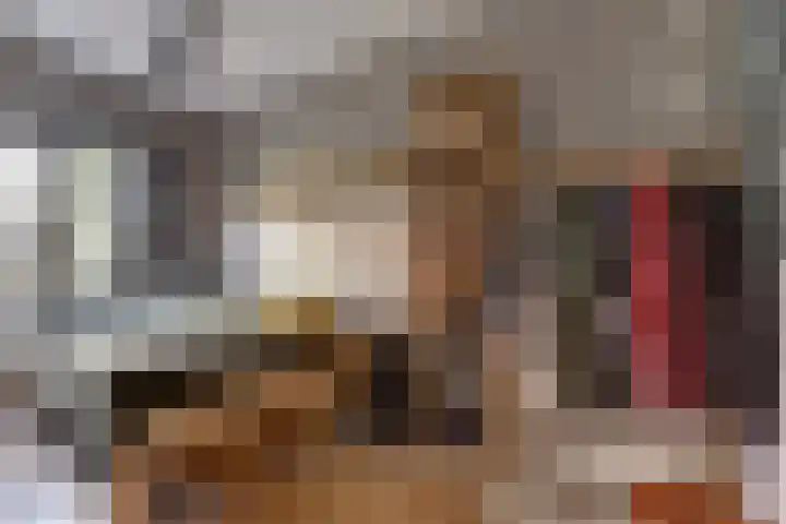 Watermolen 13 De Lier thumbnail 20