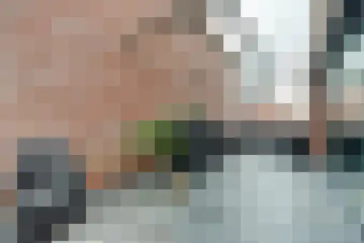 Watermolen 13 De Lier thumbnail 30