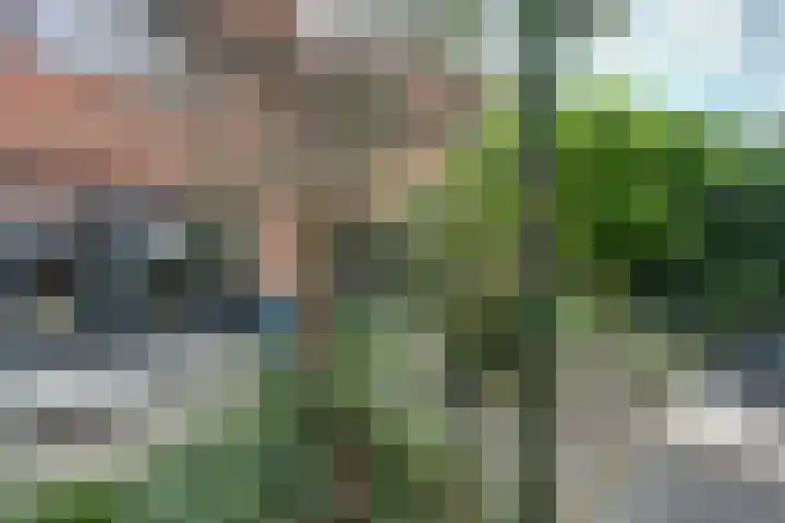 Watermolen 13 De Lier thumbnail 34