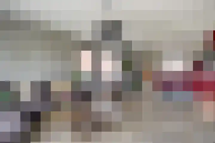 Watermolen 13 De Lier thumbnail 4